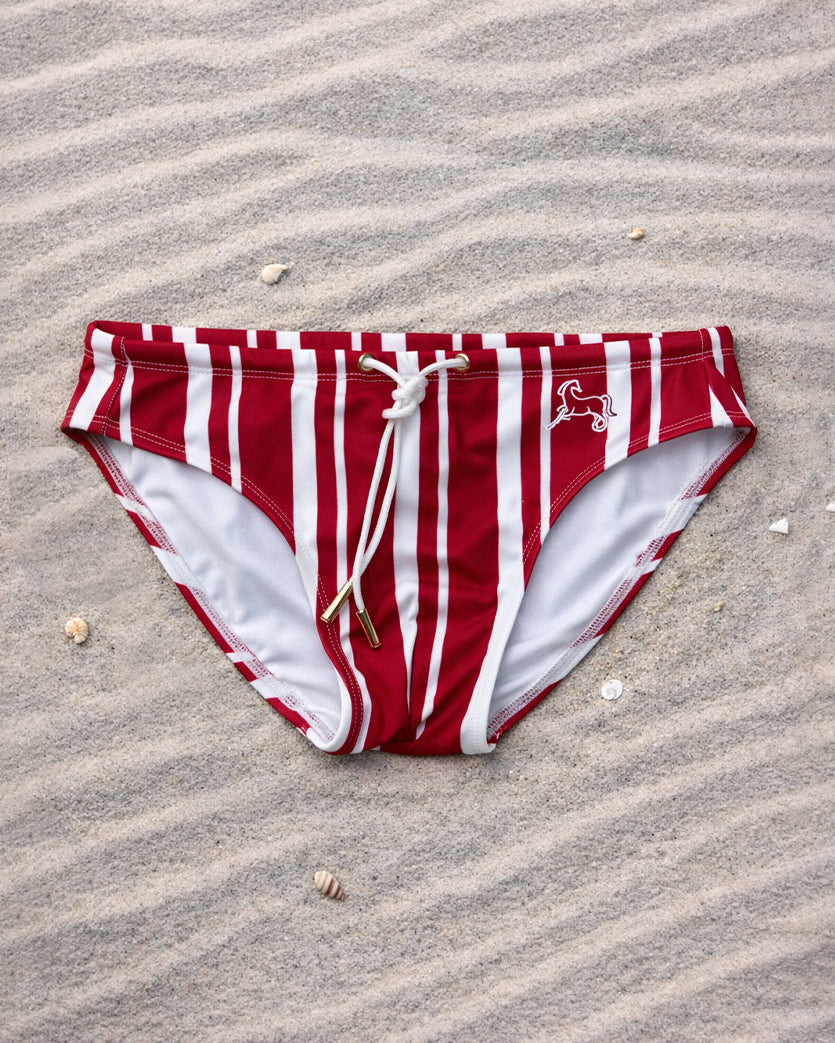 Vintage Maroon Stripe Swim Briefs