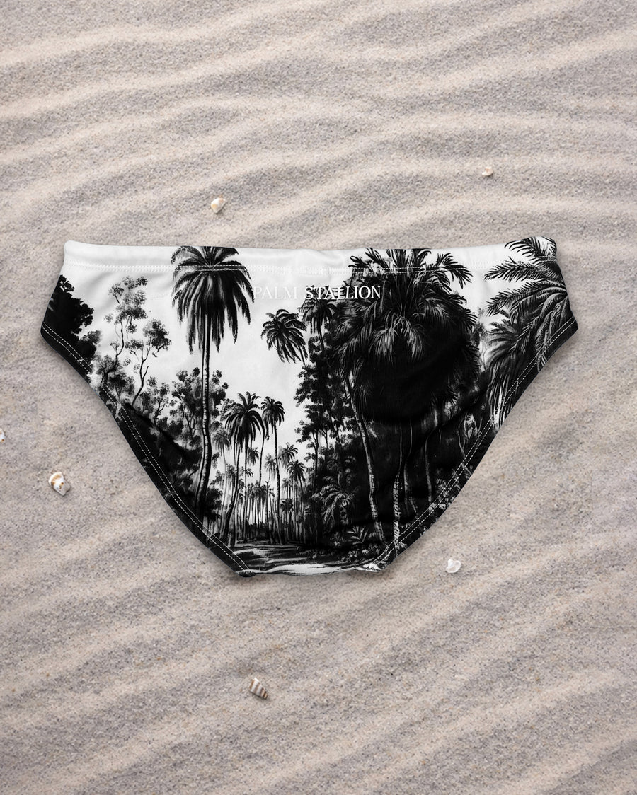 Black jungle swim brief with tropical palm tree print, low-rise fit, recycled fabric, designed & made in Australia.