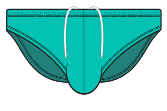 Teal Swim Brief