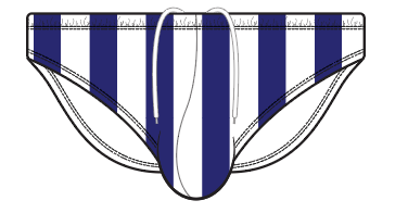 Navy Stripe Swim Brief