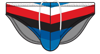 Chevron Swim Brief