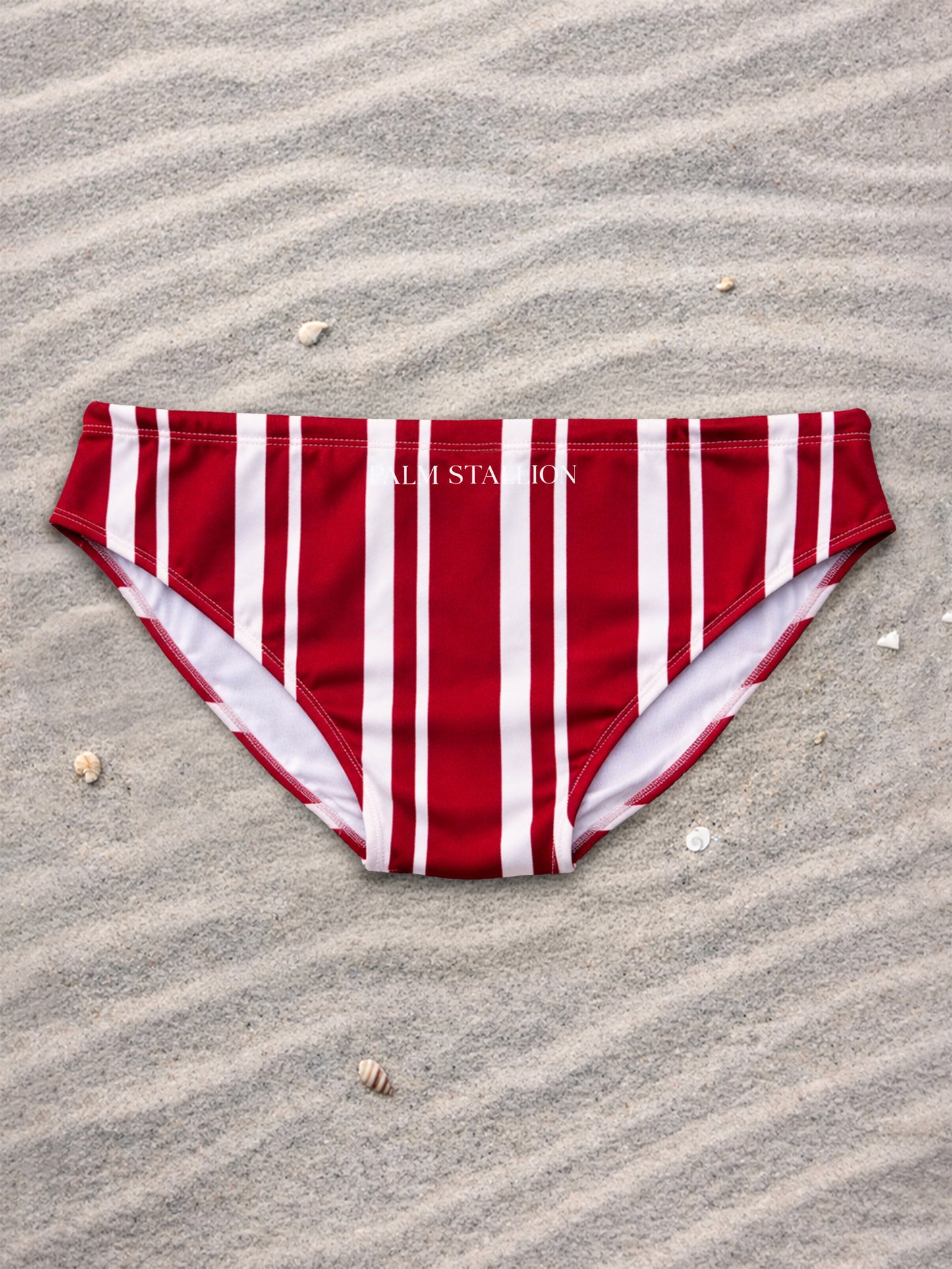 Vintage Maroon Stripe Swim Briefs